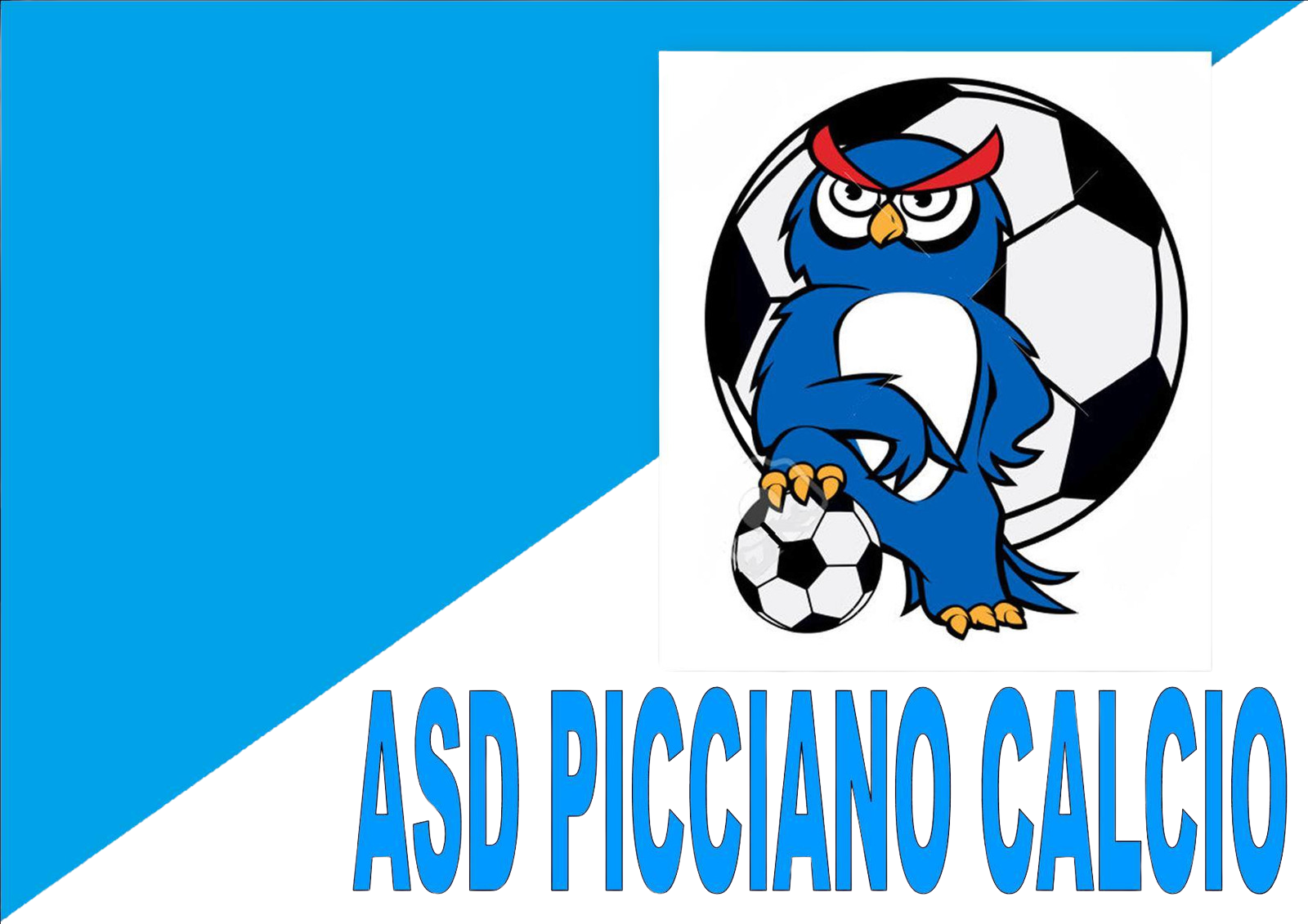 ASD Picciano Calcio